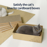 Lot de 5 grattoirs pour chat durables avec boîte, grattoir réversible pour chats d'intérieur de petite taille, planche à gratter en carton remplaçable