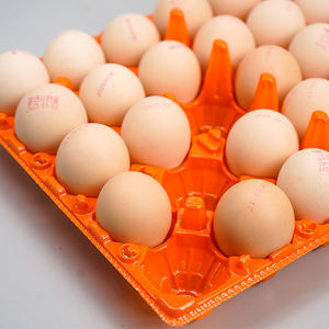 Shengyiyuan 30 отверстий с красным дном и прозрачной крышкой одноразовый блайзер для яиц прозрачный пластиковый лоток для яиц - Product Image 2