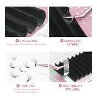 Extensions de cils individuels 5D effet fleur, courbures C CC D DD, 0.07mm, pour pose facile, effet Wet Look, série Flower Fairy
