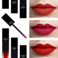 Gloss à lèvres mat velouté longue durée, haute pigmentation, non collant, maquillage pour les lèvres, étiquette privée OEM, imperméable