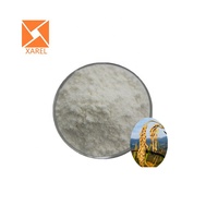 Poudre d'isolat de protéine de riz hydrolysé halal 90%