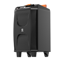 Enceinte trolley haute puissance avec Bluetooth, système de sonorisation portable alimenté par batterie pour karaoké, chant et événements