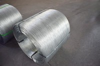 Alambre de Hierro Galvanizado: Precisión para Malla de Taller de Semiconductores de Grado Industrial