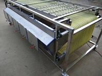 Noten Verwerking Macadamia Noten Walnoot Kastanje Sorteren Sorteermachine