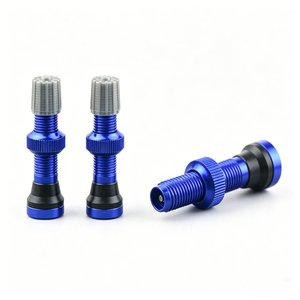 Válvula de Aire Schrader de Aleación de Aluminio para Neumáticos sin Cámara, Piezas de Modificación Universales para Bicicletas de Montaña y Carretera, Accesorios para Bicicletas - Product Image 5