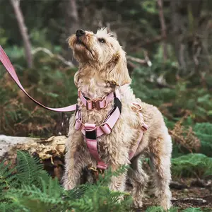 Nuevo diseño de 2023, juego de arnés de correa de collar de perro ajustable acolchado de neopreno suave táctico de lujo resistente para arnés de perro grande