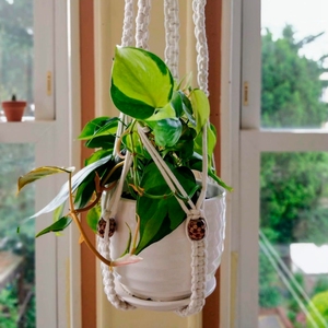 <span class=keywords><strong>Pot</strong></span> <span class=keywords><strong>de</strong></span> <span class=keywords><strong>fleurs</strong></span> suspendu, support <span class=keywords><strong>de</strong></span> plante en macramé, support <span class=keywords><strong>de</strong></span> plante mural, panier suspendu, panier <span class=keywords><strong>de</strong></span> <span class=keywords><strong>fleurs</strong></span>, décorations <span class=keywords><strong>de</strong></span> balcon - Product Image 4