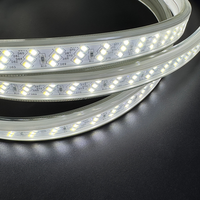Lumière paysagère portable AC220V, flexible, en PVC, étanche IP65, CRI élevé >83, dimmable, SMD2835 Epistar 6000K, 80 mètres, mâle-femelle