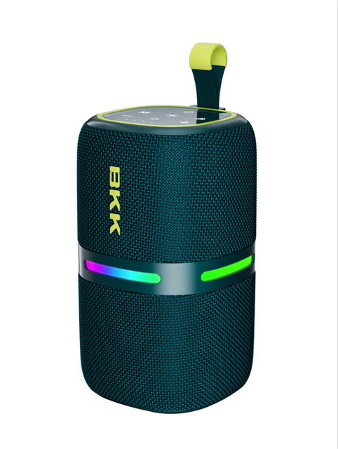 C300 Manufacturer of 30W Lightweight Portable Speaker with Auracast Function