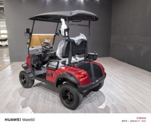 Carrito de Golf Eléctrico Rojo de 3-4 Plazas, Totalmente Impermeable, con Batería de 60V, Techo Negro, Asientos de Plástico, Todoterreno - Product Image 2