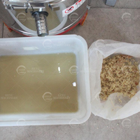 Nouvelle arrivée : machine à râper le gingembre, moulin et extracteur de gingembre, machine à jus de gingembre