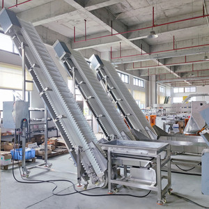 Transportador de Banda Inclinado Tipo <span class=keywords><strong>Z</strong></span> Automático de Focus Machinery, Transportador de Banda de PU para la Industria Alimentaria - Product Image 3
