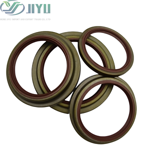 Chine Fabrication TB Iron Shell Oil Seal FKM NBR pour la conception anti-poussière d'équipement de construction - Product Image 2