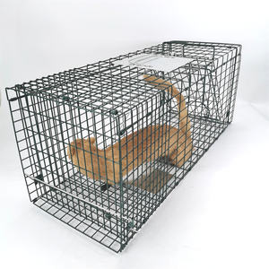 Piège à cage pour animaux vivants Pièges à raton laveur pliants robustes Piège à chat sans cruauté pour ratons laveurs errants Écureuil Taupe <span class=keywords><strong>Attraper</strong></span> et relâcher - Product Image 2