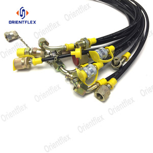 Tuyau de <span class=keywords><strong>test</strong></span> haute pression Dn3 utilisé dans les systèmes hydrauliques pour tester la pression et conduire le milieu fluide - Product Image 5