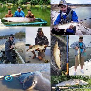 <span class=keywords><strong>Canne</strong></span> à pêche à la mouche M MAXIMUMCATCH Predator Bass Saltwater 7'11''/9''/9''2''/10'' 4 pièces, action moyenne rapide, puissance douce, poignée en liège - Product Image 6