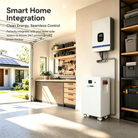 Sistema de Energía Solar para el Hogar, 8kWh, Compatible con Conexión en Paralelo, Control por Aplicación, Batería Solar de Iones de Litio LiFePO4 en Gabinete Vertical