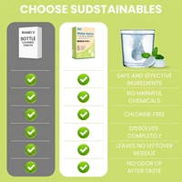 Tablettes effervescentes écologiques CE pour le nettoyage des bouteilles d'eau, détachant avec parfum menthe pour bouteilles, tasses et pailles réutilisables