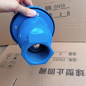 Vanne de purge d'air automatique rapide en fonte P11X PN16 Dn50 avec filetage BSP pour tuyau d'eau - Product Image 3