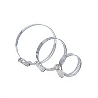 Colliers de serrage pour tuyaux et colliers de serrage pour conduites en acier inoxydable 201 Chine-États-Unis - Usage industriel, sans finition, style américain