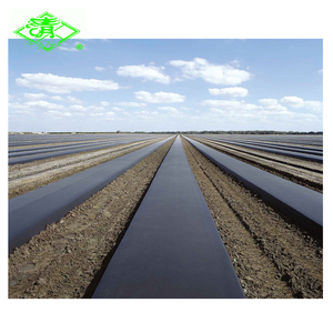Film de paillage noir, film de paillage spécial pour herbes parfumées, film de paillage agricole - Product Image 6