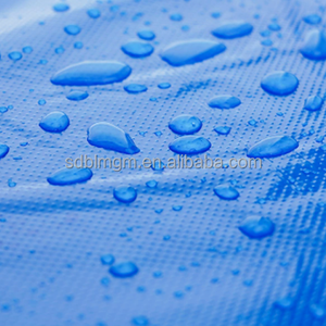 Tablier jetable en plastique PE, vente chaude, taille et emballage personnalisés, pour la transformation alimentaire, la cuisine, la coiffure, l'usine, prix abordables - Product Image 2