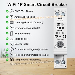 Interrupteur horaire intelligent WIFI Tuya, compteur d'énergie, surveillance KWH, relais temporisé 1P 63A, télécommande par téléphone portable Smartlife, disjoncteur - Product Image 2