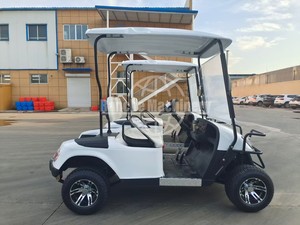 Carrito de Golf Eléctrico Todoterreno de 4/6 Plazas, Mini Buggy de Golf con Neumáticos Todoterreno Certificados por el DOT - Product Image 4