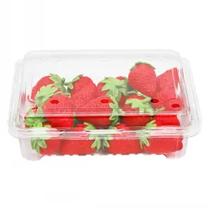 PET Clamshell Plastic Food Container Box With Cover Disposable Transparent Vegetable Cake Sushi Packaging Fresh Fruit Display