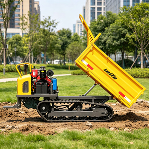 Mini Dumper Hidráulico en Venta - Product Image 1