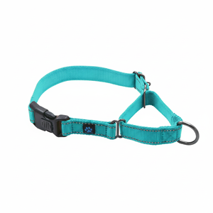 Max et Neo Nylon Martingale-Nous faisons un don à un sauvetage de chien pour chaque collier vendu (Medium, Teal) - Product Image 1
