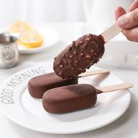 Bâtonnets de glace en bambou naturel de qualité alimentaire, écologiques, portables, petits, pour glaces maison