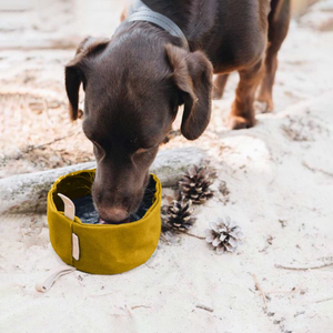 Waterproof Waxed Canvas <strong>Dog</strong> <strong>Food</strong> Bowl Collapsible Travel Puppy Treat Bowl Outdoor Portable Pet <strong>Food</strong> Water <strong>Container</strong> Pocket - Product Image 1