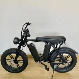 20 "Wiel Dual Accu 'S Ebike 48V 1000W Motor 15ah * 2 Full Suspensie Olie Rem Snel Volwassenen Elektrische Fiets Fat Bike