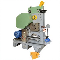 Machine de découpe et de poinçonnage mécanique multifonction pour tôles d'acier, profilés en acier et aciers de charpente – Haute performance