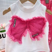 Conjunto de Ropa de Moda de Verano para Niñas 2025, 2 Piezas, Top Casual sin Mangas de Jean Rasgado y Pantalones Vaqueros Holgados para 3-12 Años
