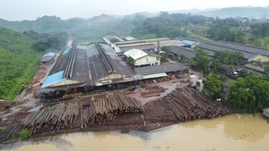 Panel de madera de alta calidad Meranti de contrachapado sólido 4x8 para soporte estructural y aplicaciones de carpintería estética - Product Image 4