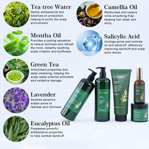 Ensemble Shampooing et Après-Shampooing Bio OEM pour la Croissance Capillaire, Traitement Épaississant et Repoussant, Soin Capillaire au Théier pour Clarifier et Nettoyer - Product Image 4