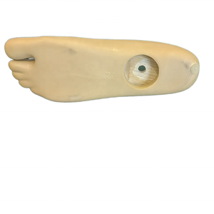 Kaki palsu poros tunggal poliuretan, untuk penggunaan medis lembaga buatan, peralatan rehabilitasi - Product Image 4