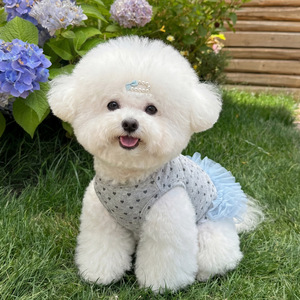 Adorabile Abito a Pois per Animali Domestici con Bordo in Pizzo e Gonna in Tulle per Cani <span class=keywords><strong>di</strong></span> <span class=keywords><strong>Piccola</strong></span> Taglia - Product Image 4