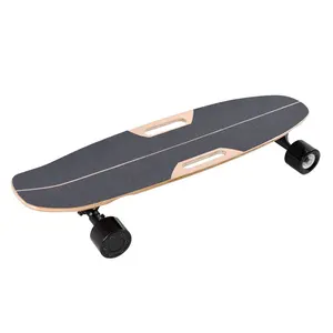 Detachable battery electric cool skateboard with remote skateboard customized dual motor skateboard fancy
