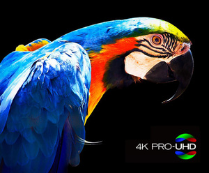 Yinzam TW7000 Home Cinema 3000 4K Proyector de 3 chips HDR, 3LCD 4K Proyector con cambio de lente 3840x2160P Proyector 3D - Product Image 3