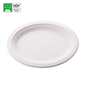 Wholesale Custom Logo Sugarcane Charge Plates Disposable Compostable Bagasse Oval Plate