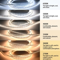 Bande LED 2835 DC 12V/24V 240LED/M 10mm PCB 12W/M 5M/10M 2700K/3500K/4100K/5000K/6000K Blanc Haute Luminosité CRI 90 Télécommande