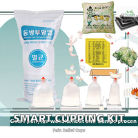 Kit de ventouses électriques intelligentes, appareil de massage, ventouses thérapeutiques en silicone de qualité alimentaire écologiques, ensembles de ventouses Hijama certifiés CE Classe II