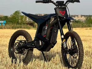 <span class=keywords><strong>Moto</strong></span> tout-terrain électrique professionnelle Arctic Leopard Cloud Leopard XE PRO S, directement de l'usine, 96 km/h, 72V35Ah - Product Image 3