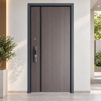 Porte d'entrée en acier avec joint en caoutchouc pour le développement immatériel, disponible en grandes quantités