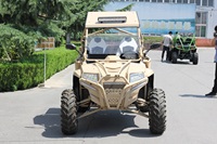 Fangpower — chariot go 2 places, 400cc, véhicule utilitaire de haute qualité, à essence