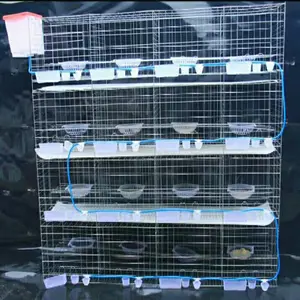 High Quality 4 Tires 16 Nests Pigeon Cage Pigeon Breeding Cages Design