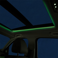 Lumière de toit LED 11 couleurs pour BMW Série 3/5 G20 G30 G01 G05 X3 X4 X5 X6 X7, éclairage d'ambiance panoramique pour toit de voiture, rénovation